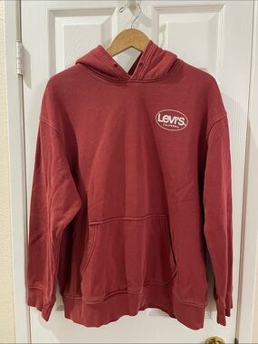Levi's Relaxed Fit Hoodie (Men's L)